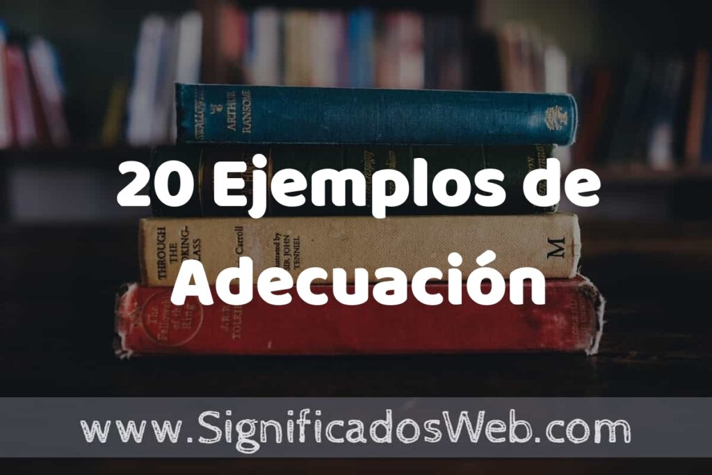 20 Ejemplos de Adecuación ▶️ Tipos, Definición y Análisis