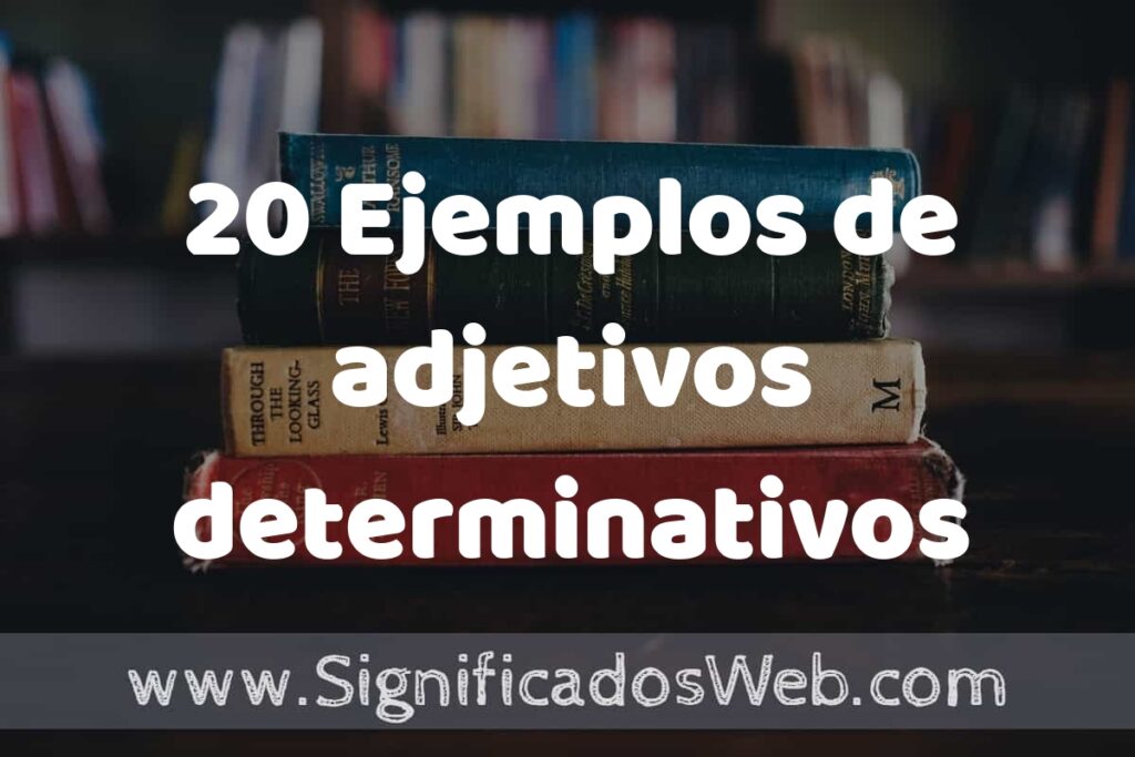 20 Ejemplos de adjetivos determinativos: Que es, Tipos, Características, para que Sirve y Definición