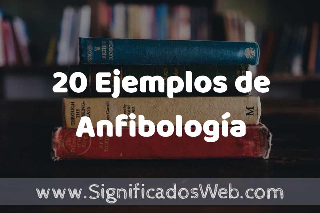 20 Ejemplos de Anfibología: Que es, Tipos, Características, para que Sirve y Definición