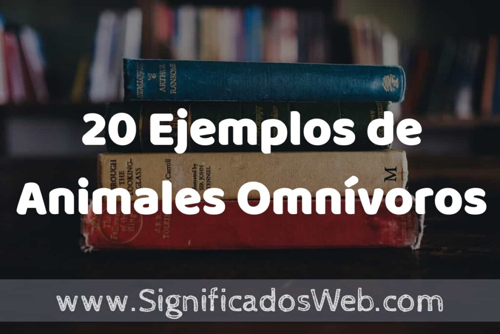 20 Ejemplos de Animales Omnívoros: Que es, Tipos, Características, para que Sirve y Definición