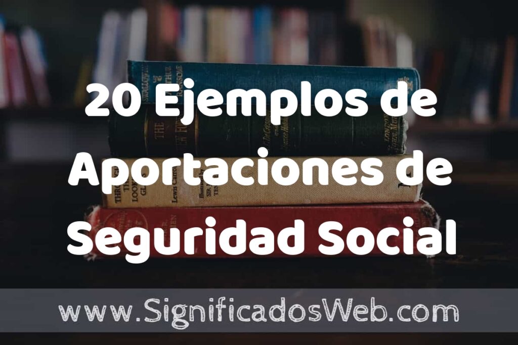 20 Ejemplos de Aportaciones de Seguridad Social: Que es, Tipos, Características, para que Sirve y Definición