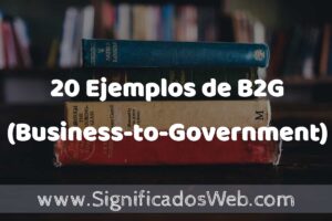 20 Ejemplos de B2G (Business-to-Government) ️ Tipos, Definición y Análisis
