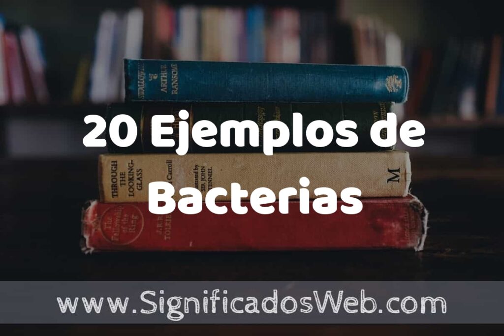 20 Ejemplos de Bacterias ▶️ Tipos, Definición y Análisis