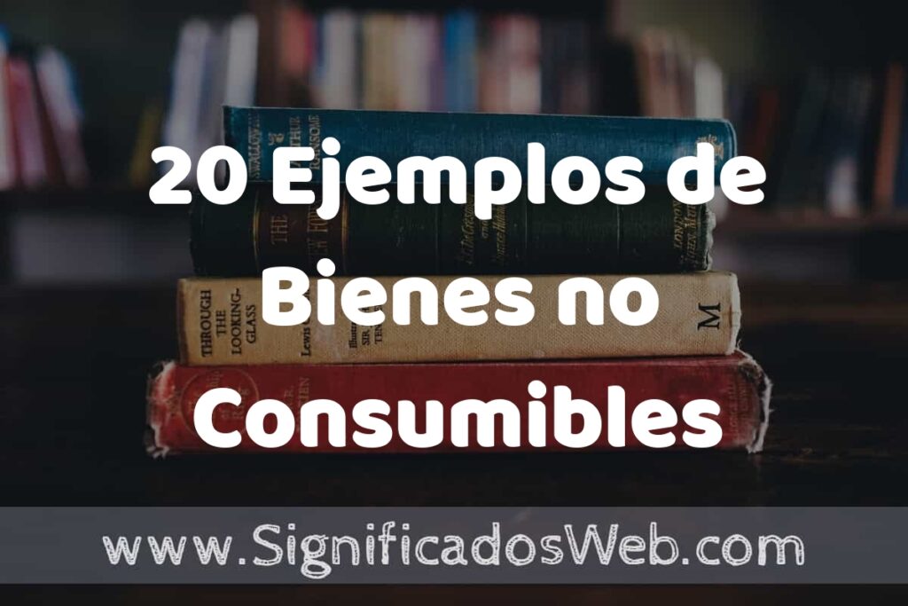 20 Ejemplos de Bienes no Consumibles ▶️ Tipos, Definición y Análisis