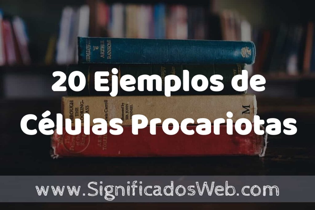 20 Ejemplos de Células Procariotas ▶️ Tipos, Definición y Análisis