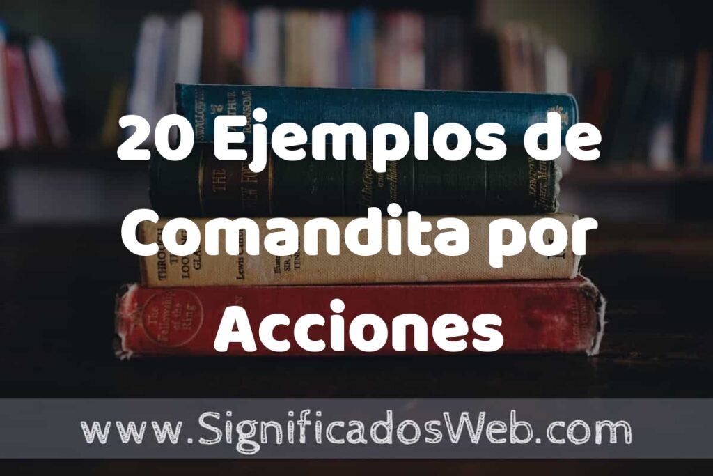 20 Ejemplos de Comandita por Acciones ▶️ Tipos, Definición y Análisis
