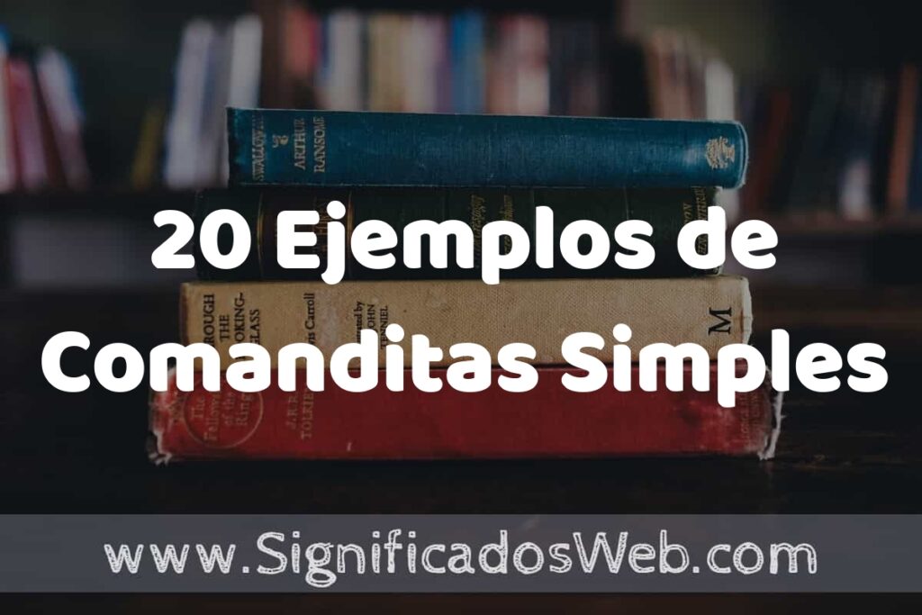 20 Ejemplos de Comanditas Simples ▶️ Tipos, Definición y Análisis