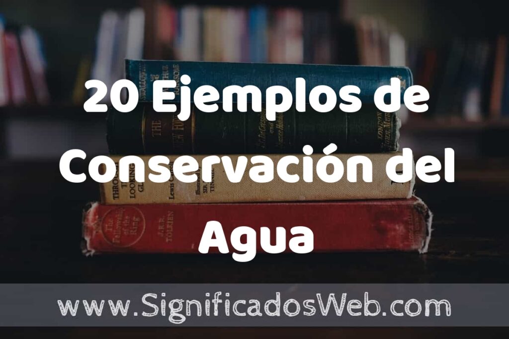 20 Ejemplos de Conservación del Agua ▶️ Tipos, Definición y Análisis