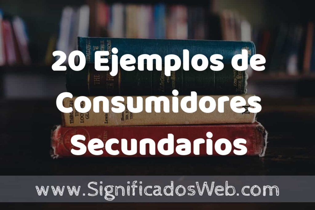 20 Ejemplos de Consumidores Secundarios ▶️ Tipos, Definición y Análisis
