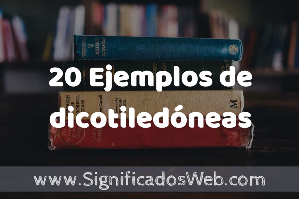 20 Ejemplos de dicotiledóneas ▶️ Tipos, Definición y Análisis