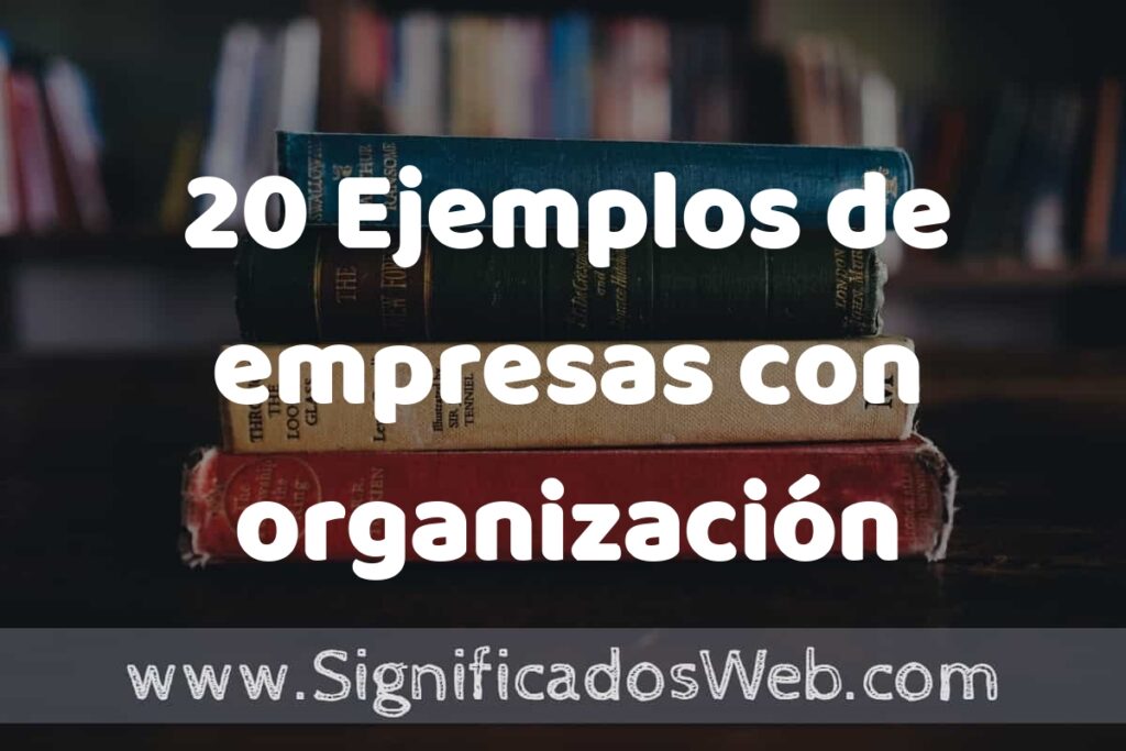 20 Ejemplos de empresas con organización geográfica ▶️ Tipos, Definición y Análisis