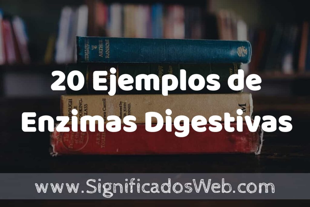20 Ejemplos de Enzimas Digestivas ▶️ Tipos, Definición y Análisis
