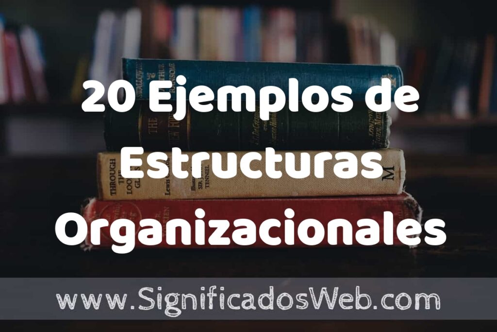20 Ejemplos de Estructuras Organizacionales Innovadoras ▶️ Tipos, Definición y Análisis