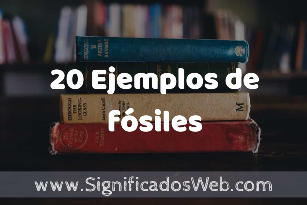 20 Ejemplos de fósiles ▶️ Tipos, Definición y Análisis