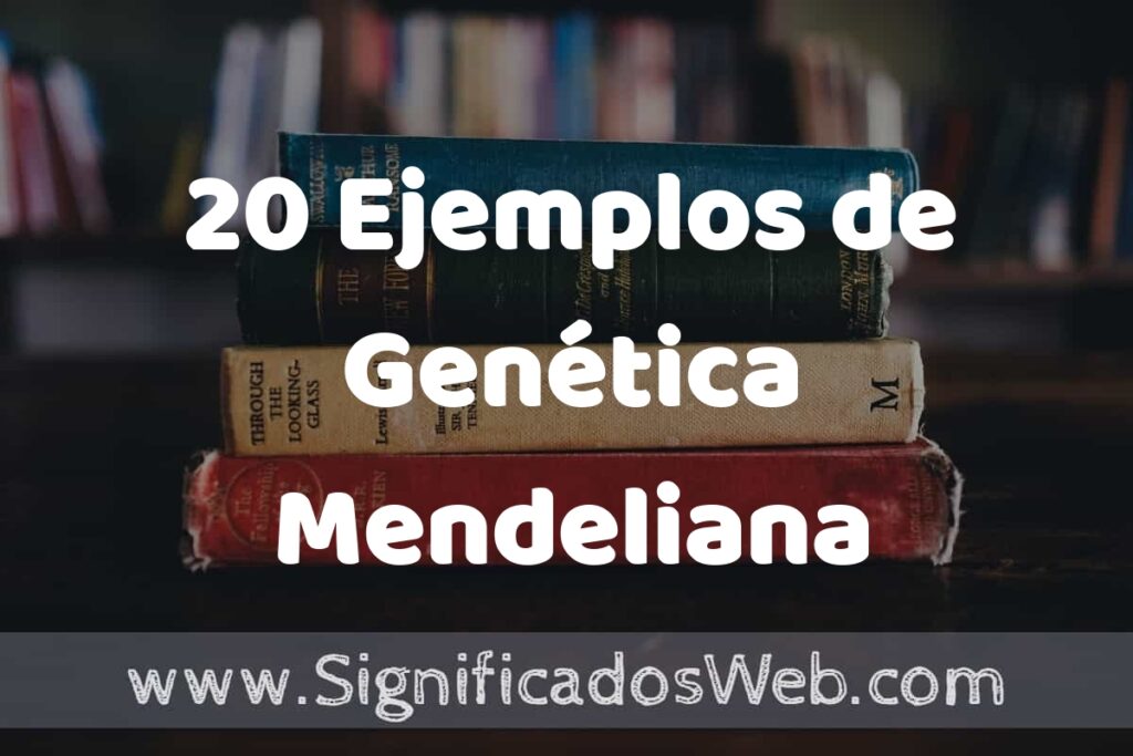 20 Ejemplos de Genética Mendeliana ▶️ Tipos, Definición y Análisis