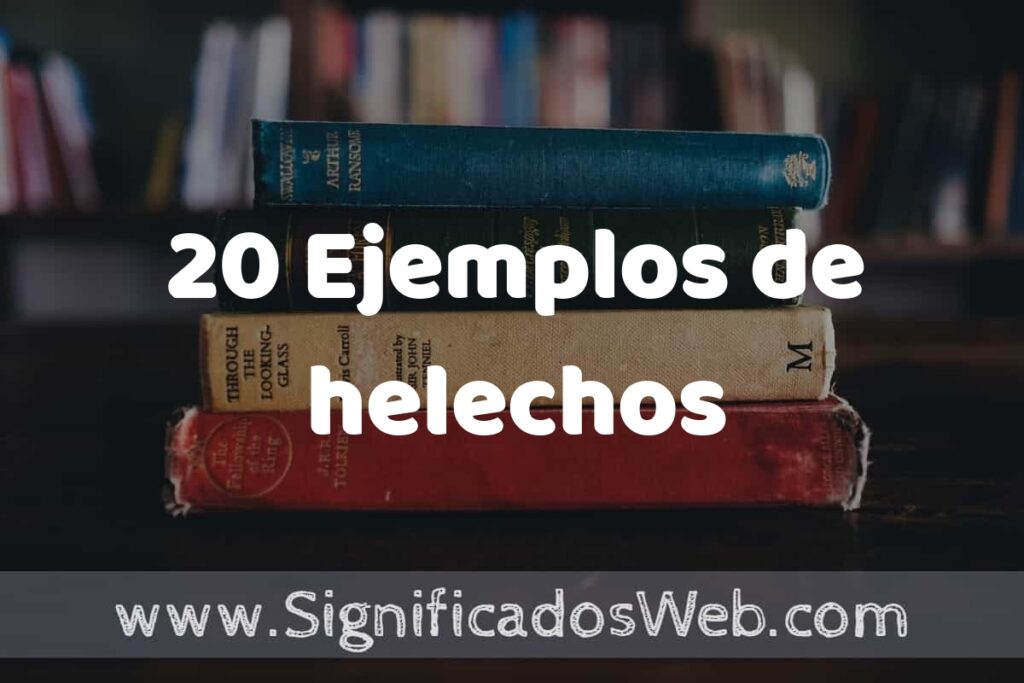 20 Ejemplos de helechos ▶️ Tipos, Definición y Análisis