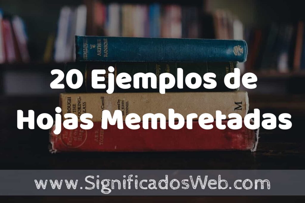 20 Ejemplos de Hojas Membretadas ▶️ Tipos, Definición y Análisis