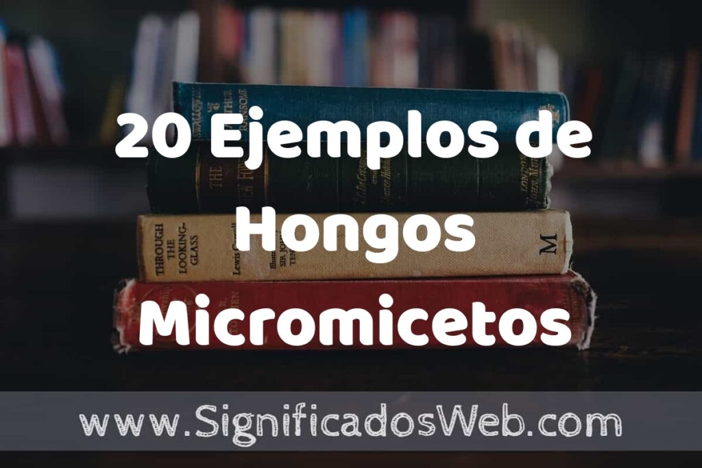 20 Ejemplos de Hongos Micromicetos ▶️ Tipos, Definición y Análisis
