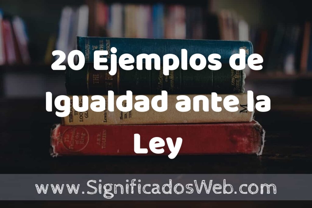 20 Ejemplos de Igualdad ante la Ley ▶️ Tipos, Definición y Análisis