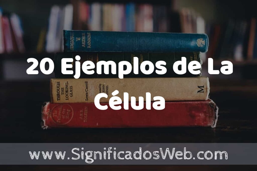 20 Ejemplos de La Célula ▶️ Tipos, Definición y Análisis