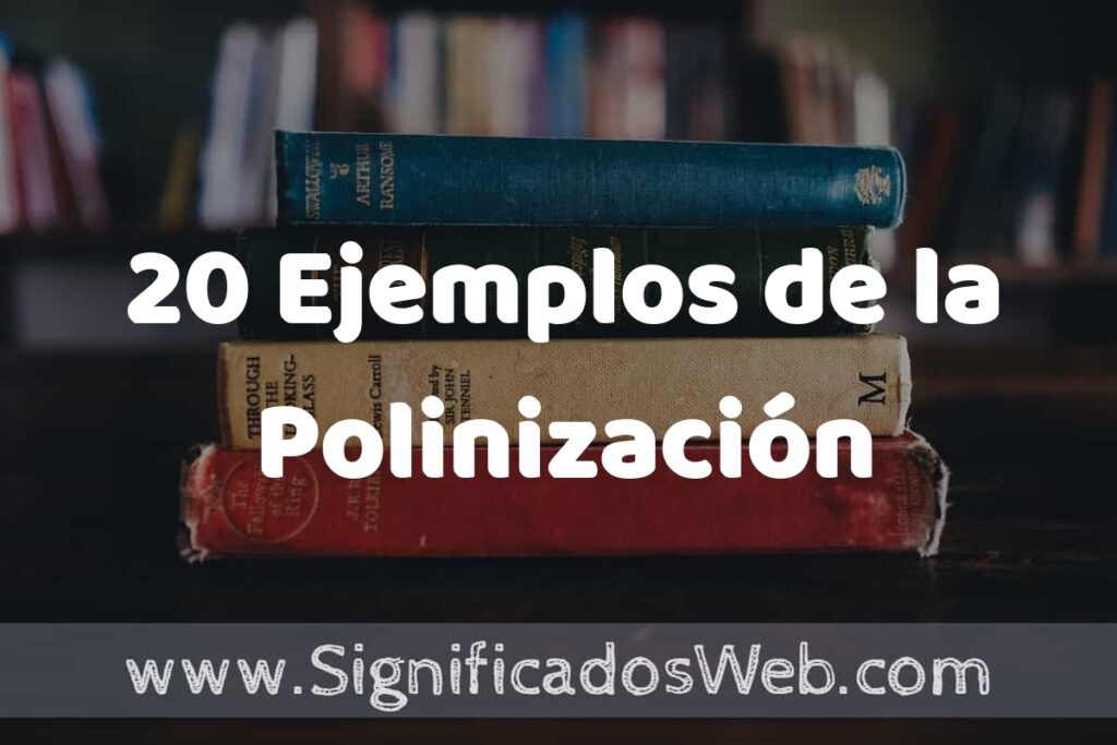 20 Ejemplos de la Polinización ▶️ Tipos, Definición y Análisis