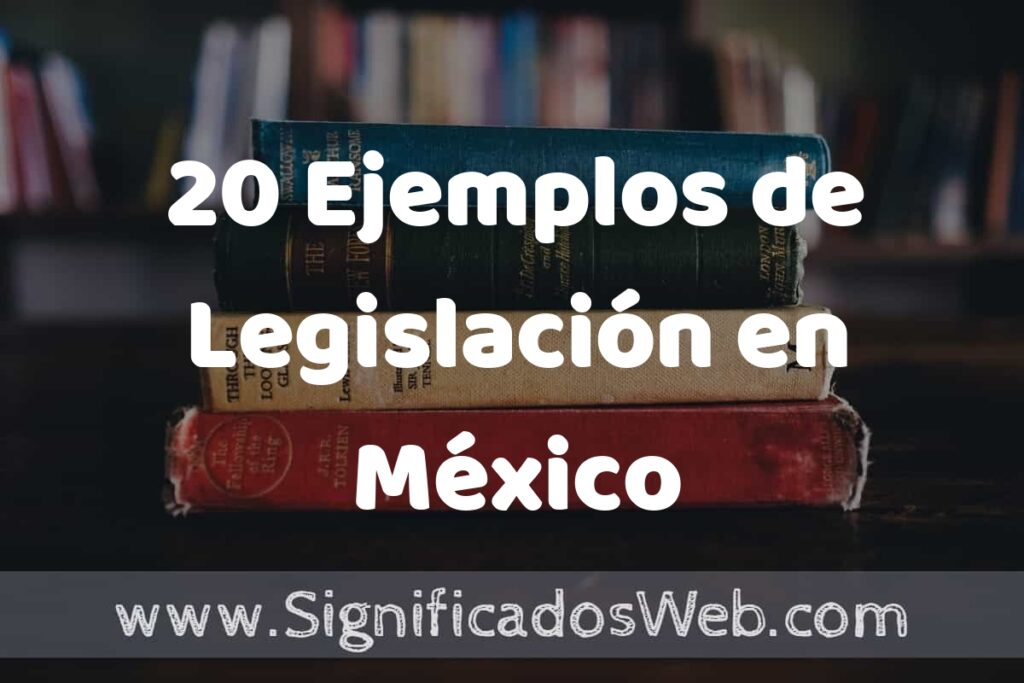 20 Ejemplos de Legislación en México ▶️ Tipos, Definición y Análisis