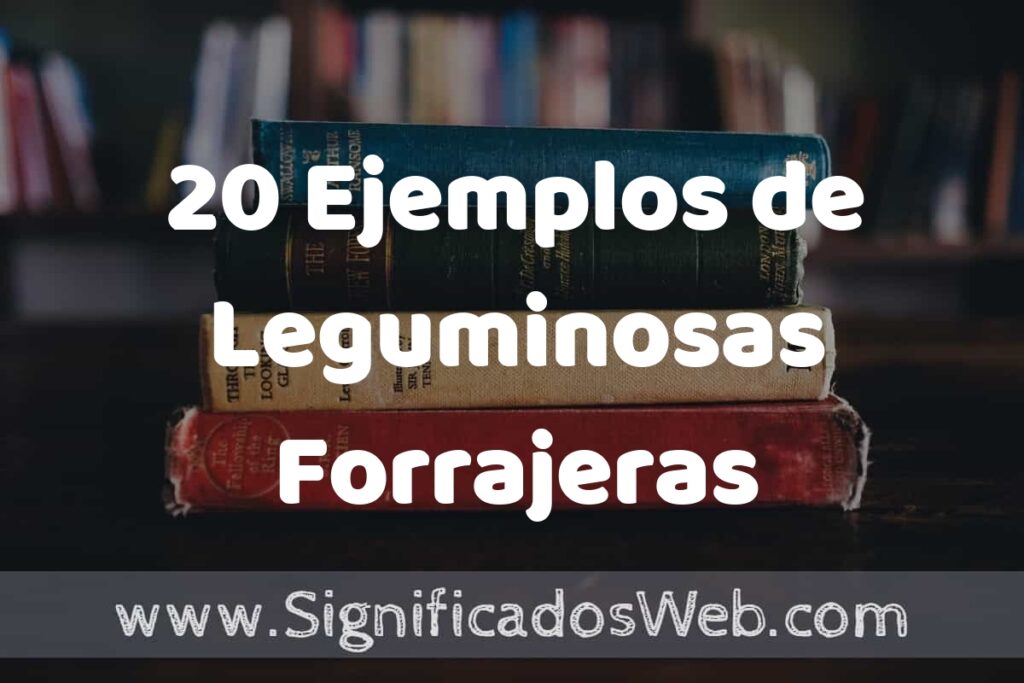 20 Ejemplos de Leguminosas Forrajeras ▶️ Tipos, Definición y Análisis