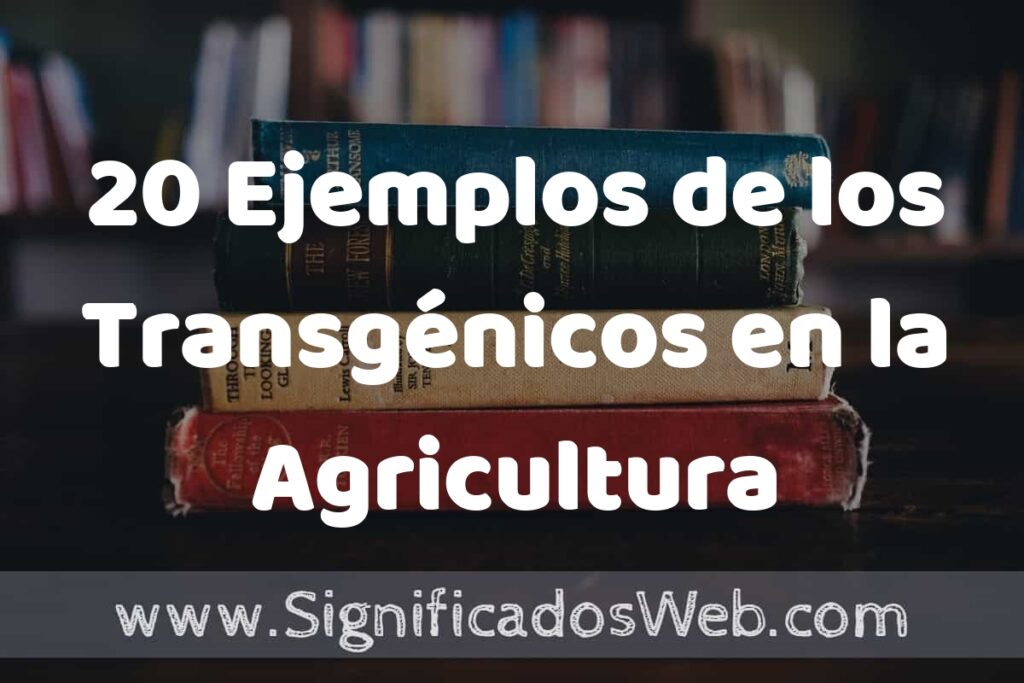 20 Ejemplos de los Transgénicos en la Agricultura ▶️ Tipos, Definición y Análisis