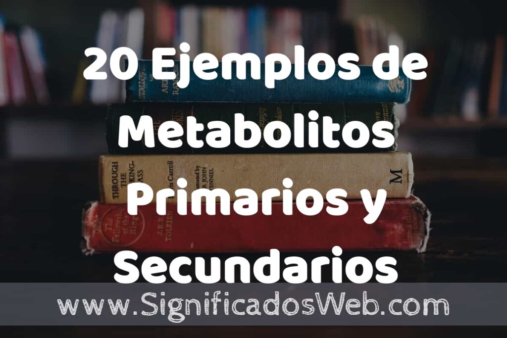 20 Ejemplos de Metabolitos Primarios y Secundarios ▶️ Tipos, Definición y Análisis