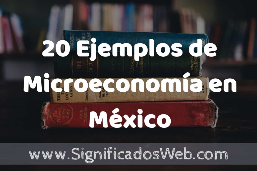 20 Ejemplos de Microeconomía en México ▶️ Tipos, Definición y Análisis
