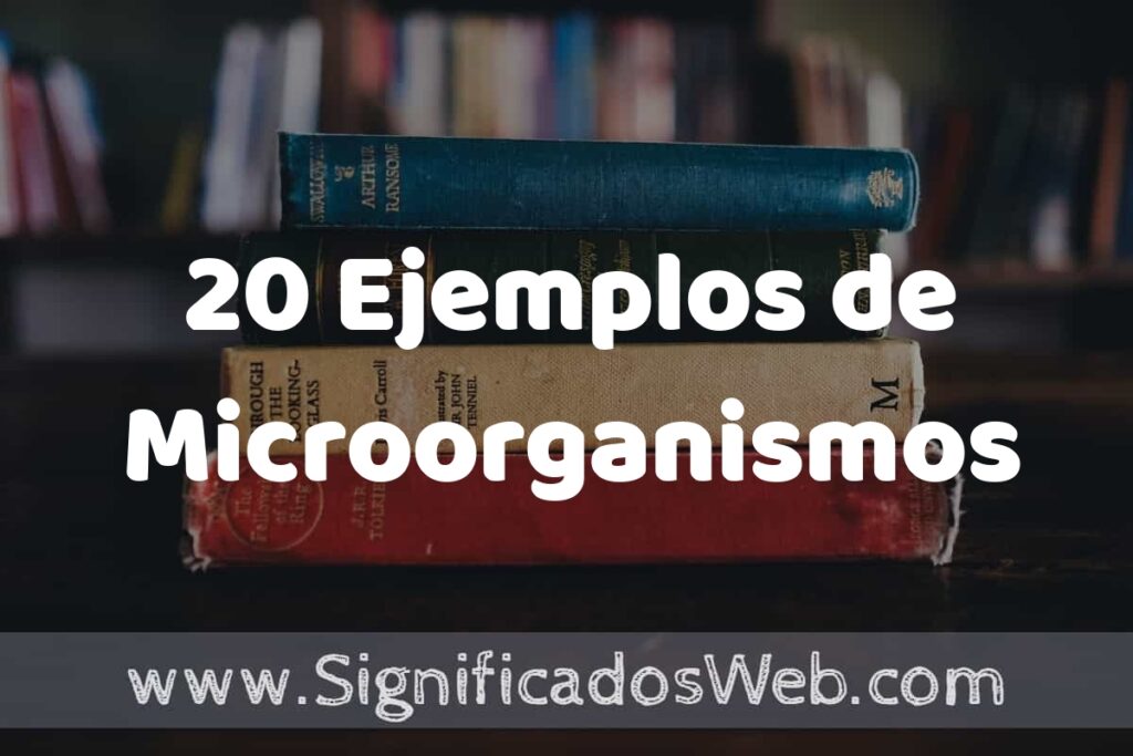 20 Ejemplos de Microorganismos ▶️ Tipos, Definición y Análisis