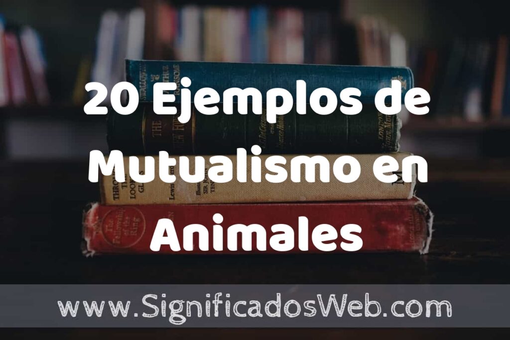 20 Ejemplos de Mutualismo en Animales ▶️ Tipos, Definición y Análisis