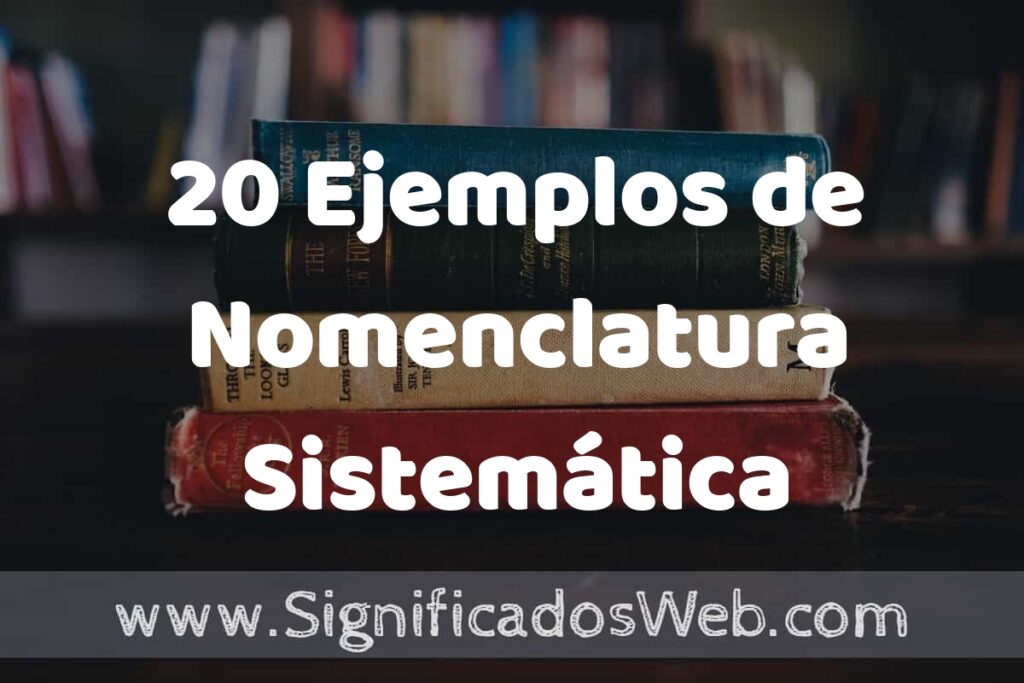 20 Ejemplos de Nomenclatura Sistemática ▶️ Tipos, Definición y Análisis