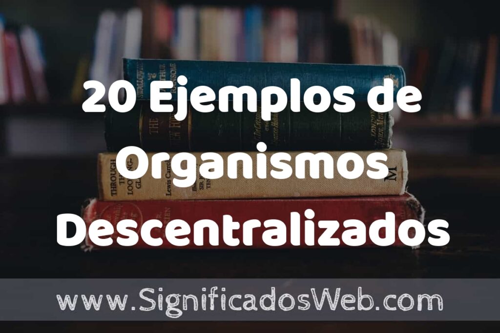 20 Ejemplos de Organismos Descentralizados ▶️ Tipos, Definición y Análisis