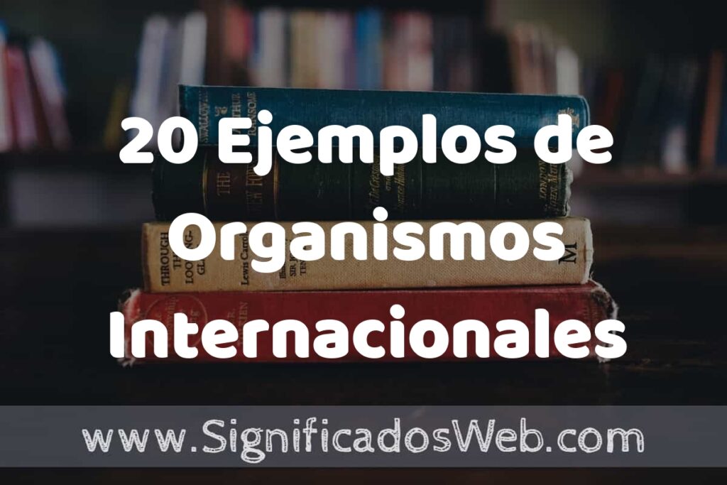 20 Ejemplos de Organismos Internacionales ▶️ Tipos, Definición y Análisis