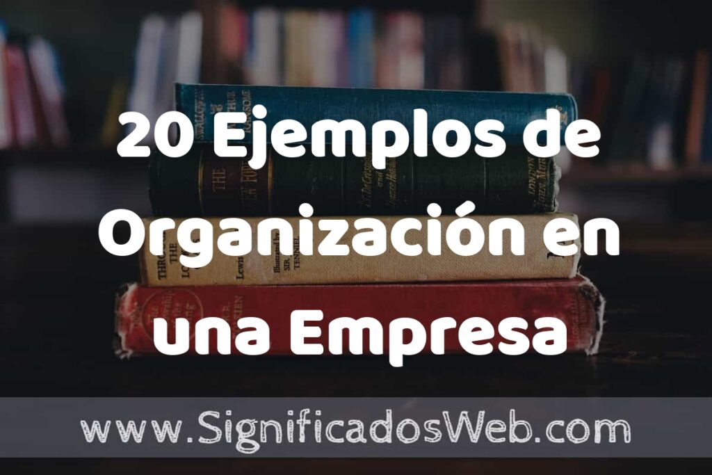 20 Ejemplos de Organización en una Empresa: Que es, Tipos, Características, para que Sirve y Definición