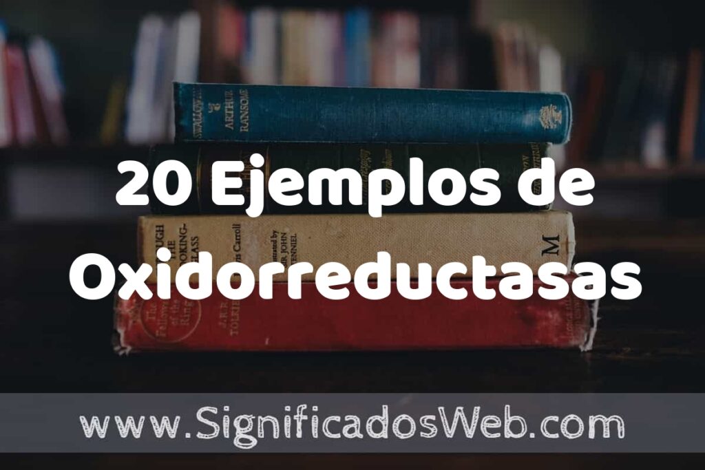 20 Ejemplos de Oxidorreductasas ▶️ Tipos, Definición y Análisis