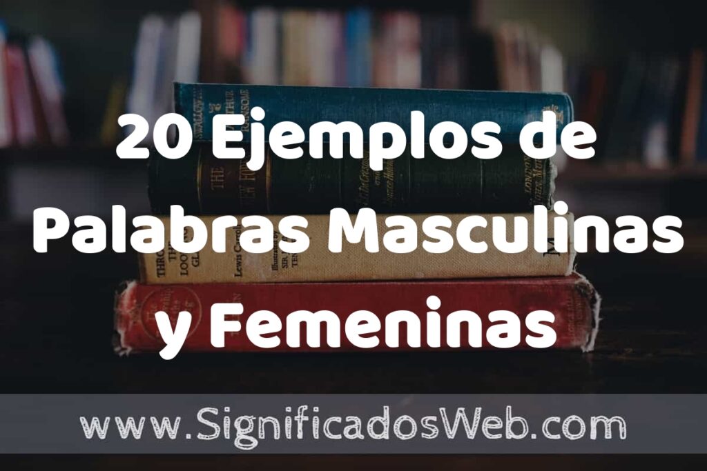 20 Ejemplos de Palabras Masculinas y Femeninas ▶️ Tipos, Definición y Análisis