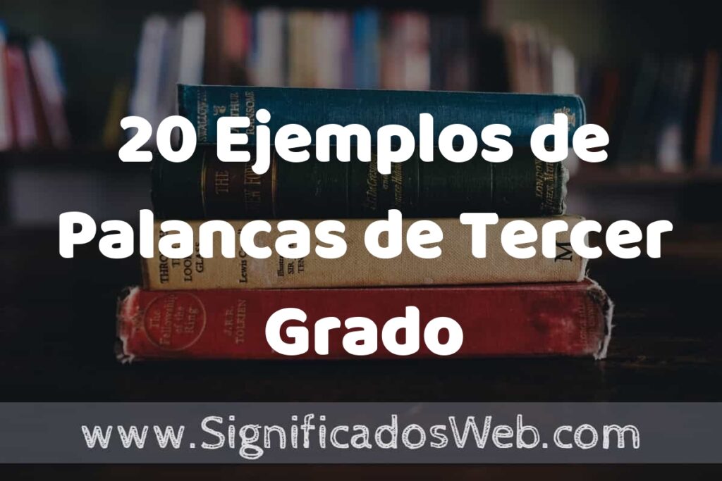 20 Ejemplos de Palancas de Tercer Grado ▶️ Tipos, Definición y Análisis
