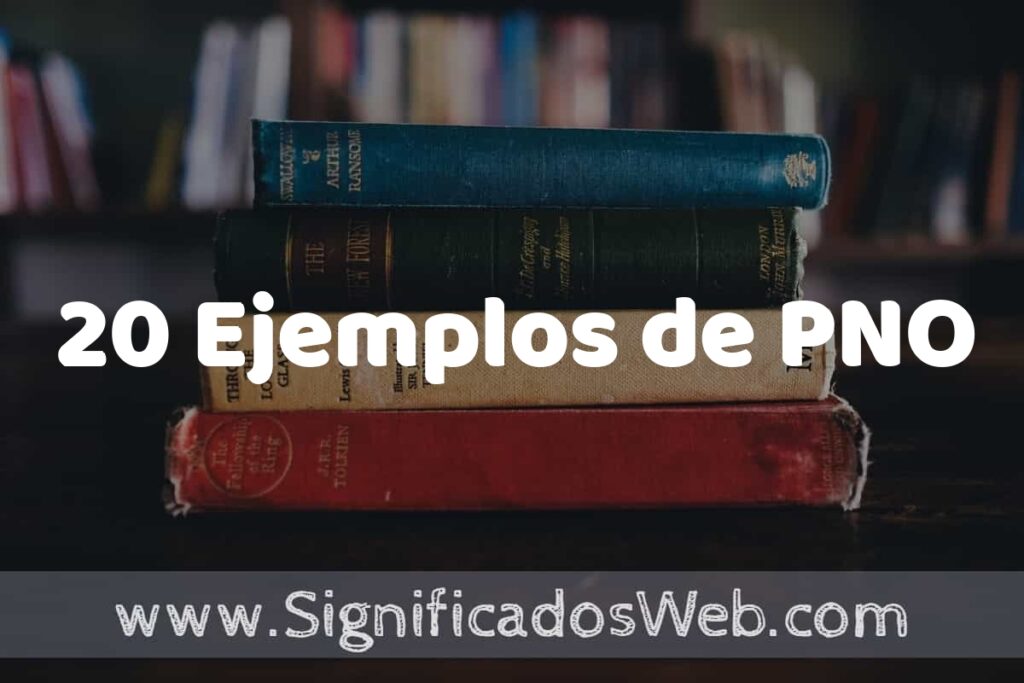 20 Ejemplos de PNO ▶️ Tipos, Definición y Análisis