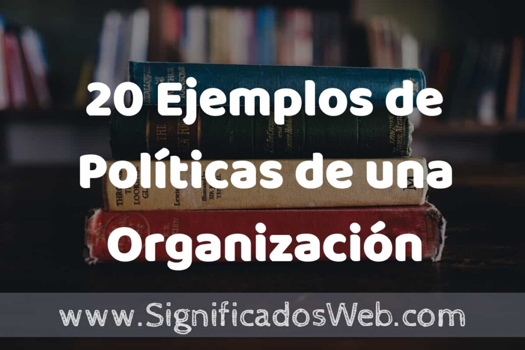 20 Ejemplos de Políticas de una Organización ▶️ Tipos, Definición y Análisis