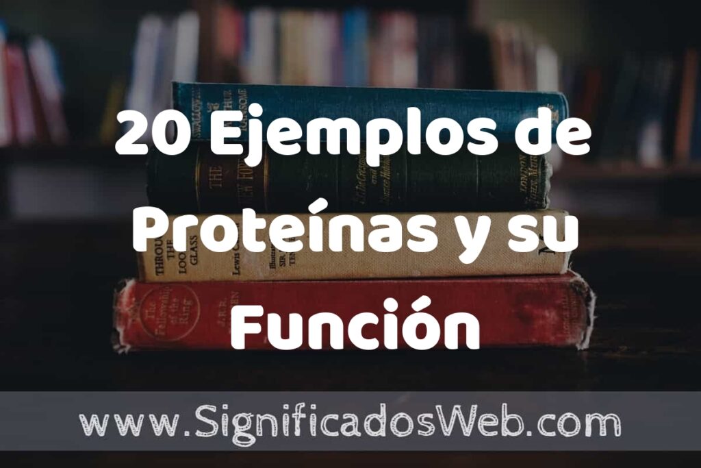 20 Ejemplos de Proteínas y su Función ▶️ Tipos, Definición y Análisis