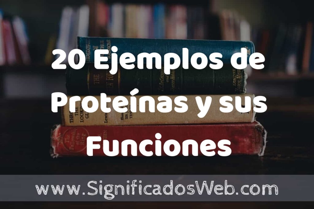 20 Ejemplos de Proteínas y sus Funciones ▶️ Tipos, Definición y Análisis