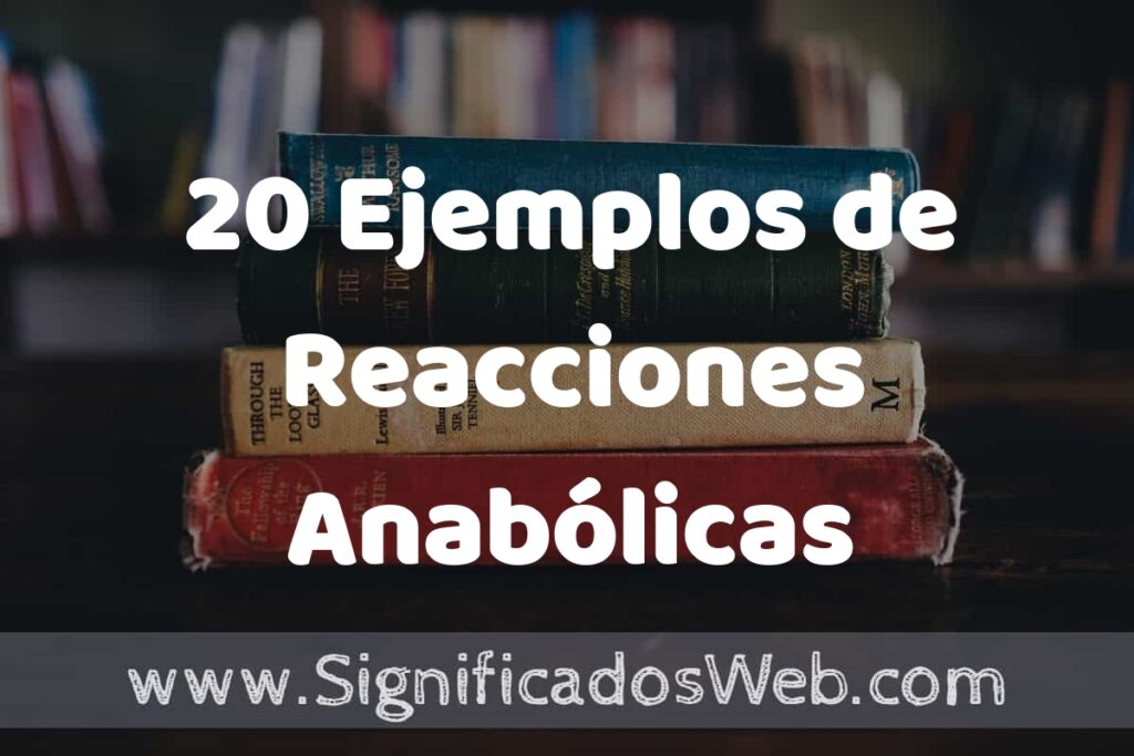 20 Ejemplos de Reacciones Anabólicas ▶️ Tipos, Definición y Análisis