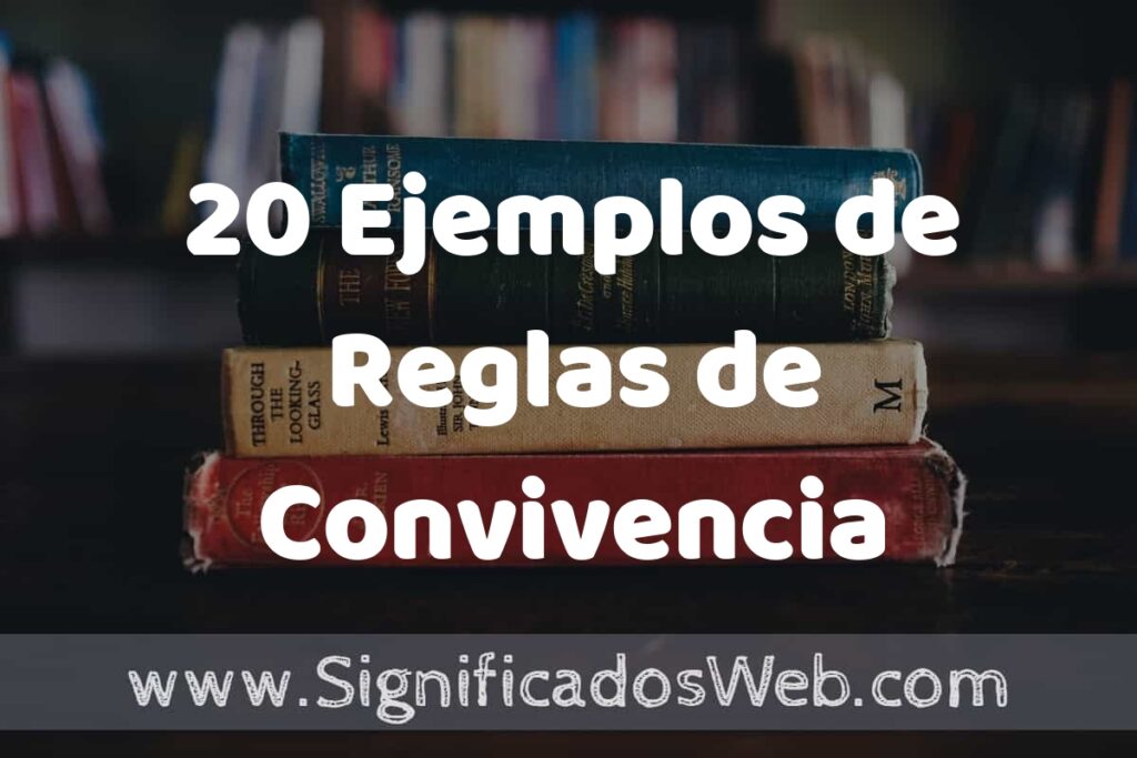 20 Ejemplos de Reglas de Convivencia ▶️ Tipos, Definición y Análisis