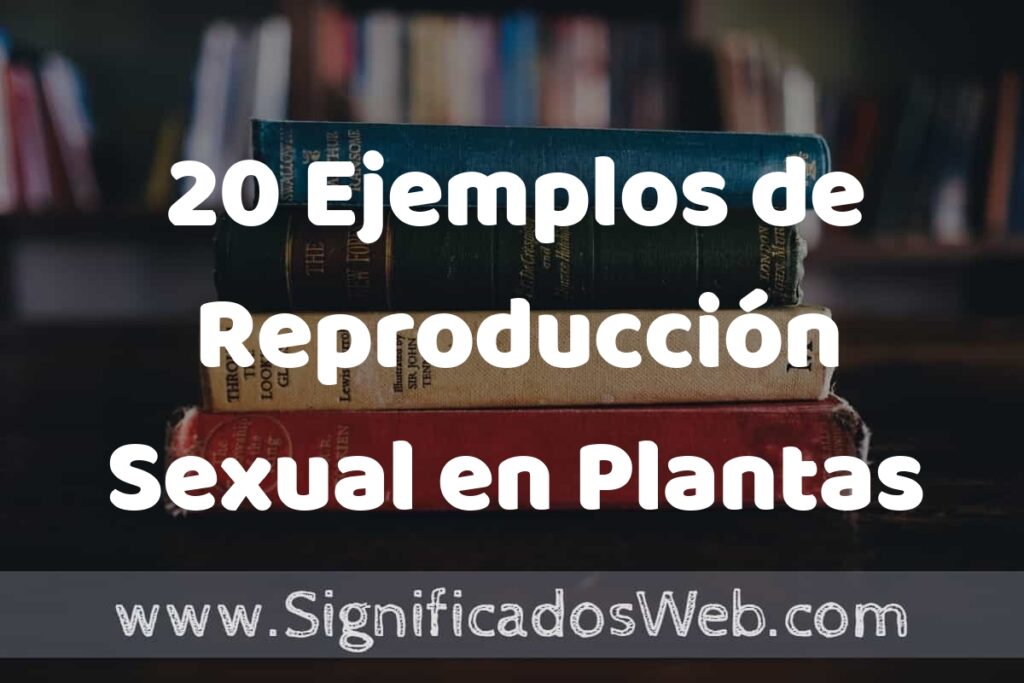 20 Ejemplos de Reproducción Sexual en Plantas ▶️ Tipos, Definición y Análisis