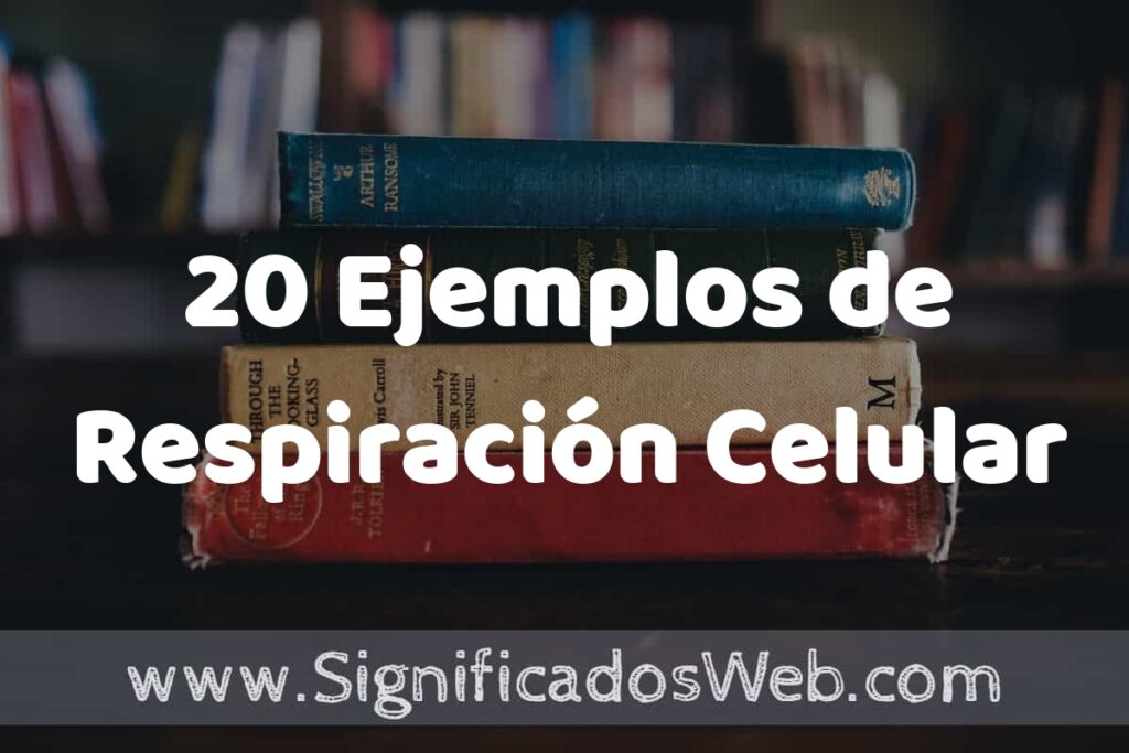 20 Ejemplos de Respiración Celular: Que es, Tipos, Características, para que Sirve y Definición