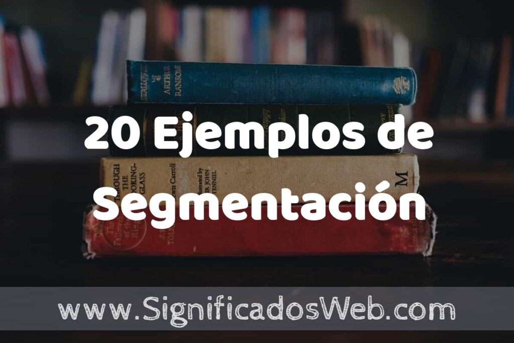20 Ejemplos de Segmentación ▶️ Tipos, Definición y Análisis