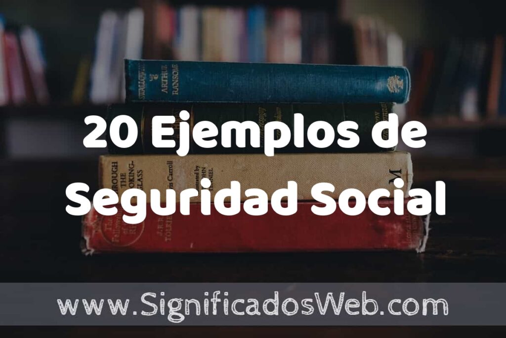 20 Ejemplos de Seguridad Social: Que es, Tipos, Características, para que Sirve y Definición