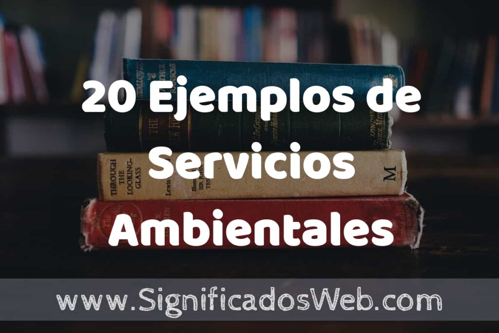 20 Ejemplos de Servicios Ambientales: Que es, Tipos, Características, para que Sirve y Definición